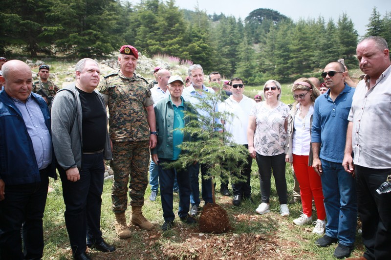 Cedar tree in memory of the Lebanese Commandos Regiment founder